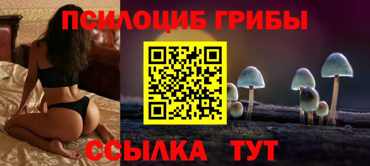 Железногорск  Псилоцибиновые грибы GOLDEN TEACHER  Вход с VPN  Галлюциногенные грибы мицелий 